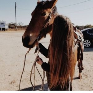 Meet your Posher, Faye